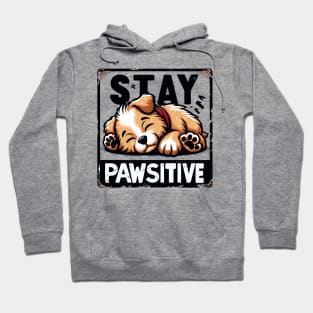 Stay Pawsitive Hoodie